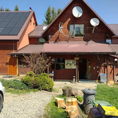 Widok Bed & Breakfast Cisna Exterior photo