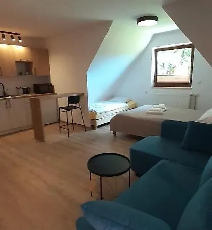 Widok Bed & Breakfast Cisna Exterior photo