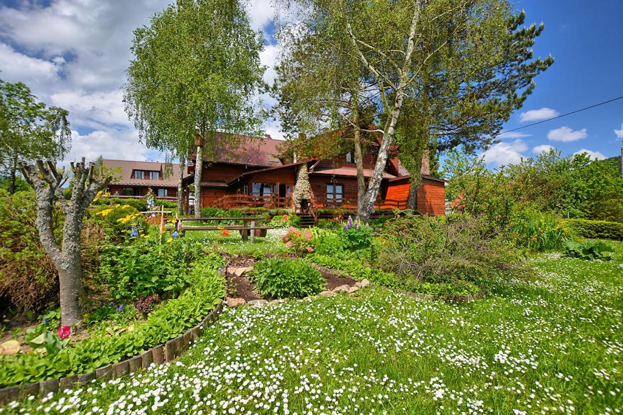 Widok Cisna